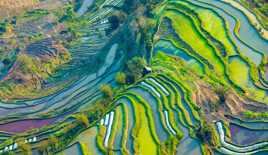 走进丽水TVC拍摄：解锁本地化场景与创意镜头的完美融合